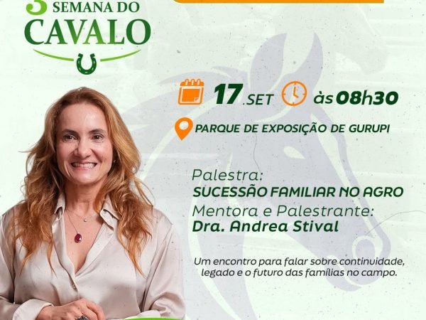 AndreaStival_PalestraSindicato
